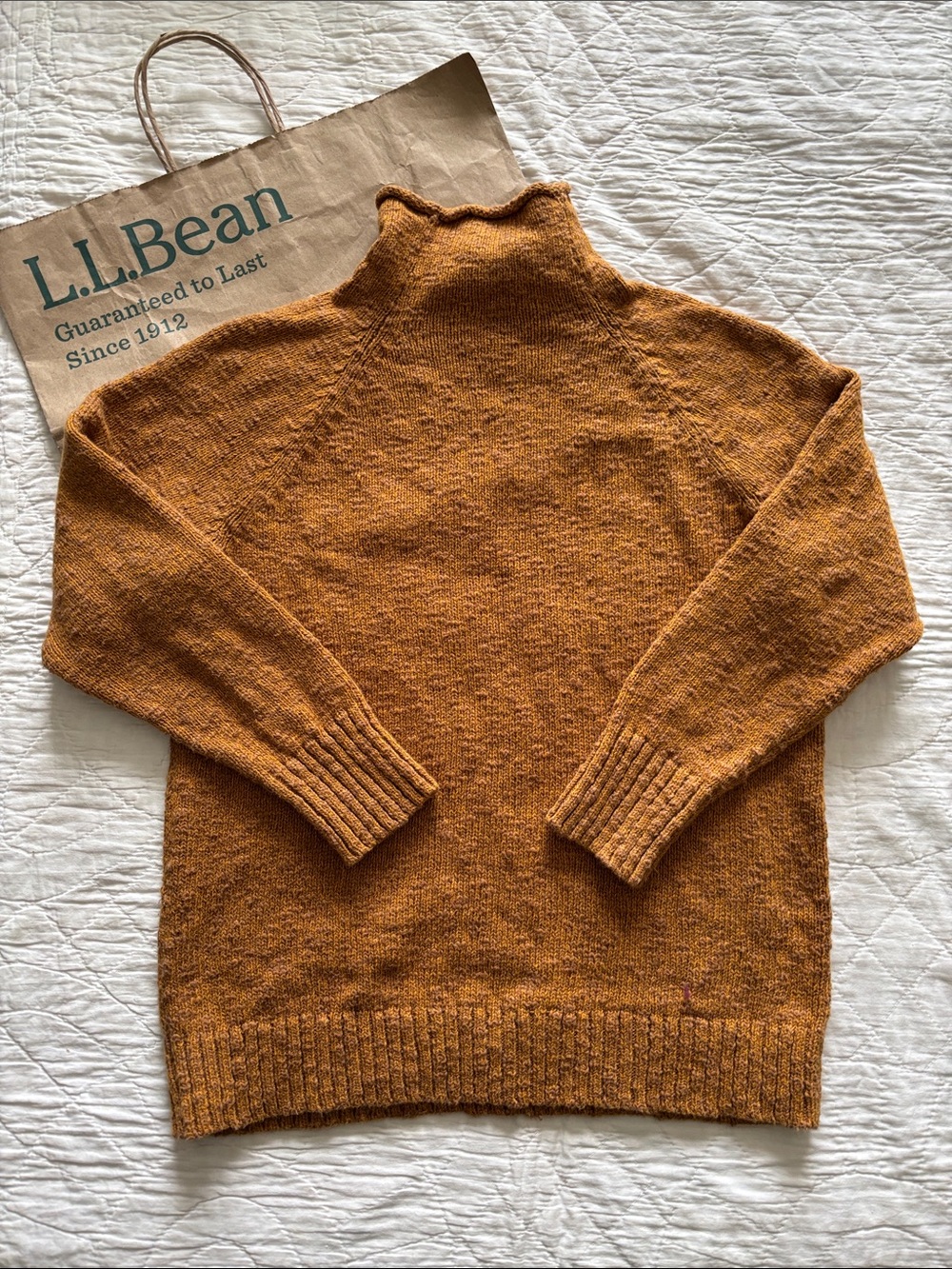 LL Bean Cotton Ragg Sweater - Picture 6 of 8